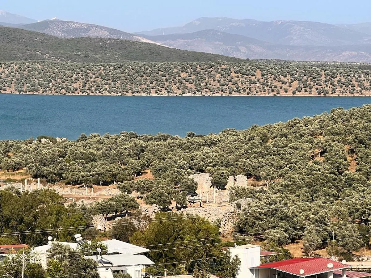 Nek House Zeytin 호텔 Milas