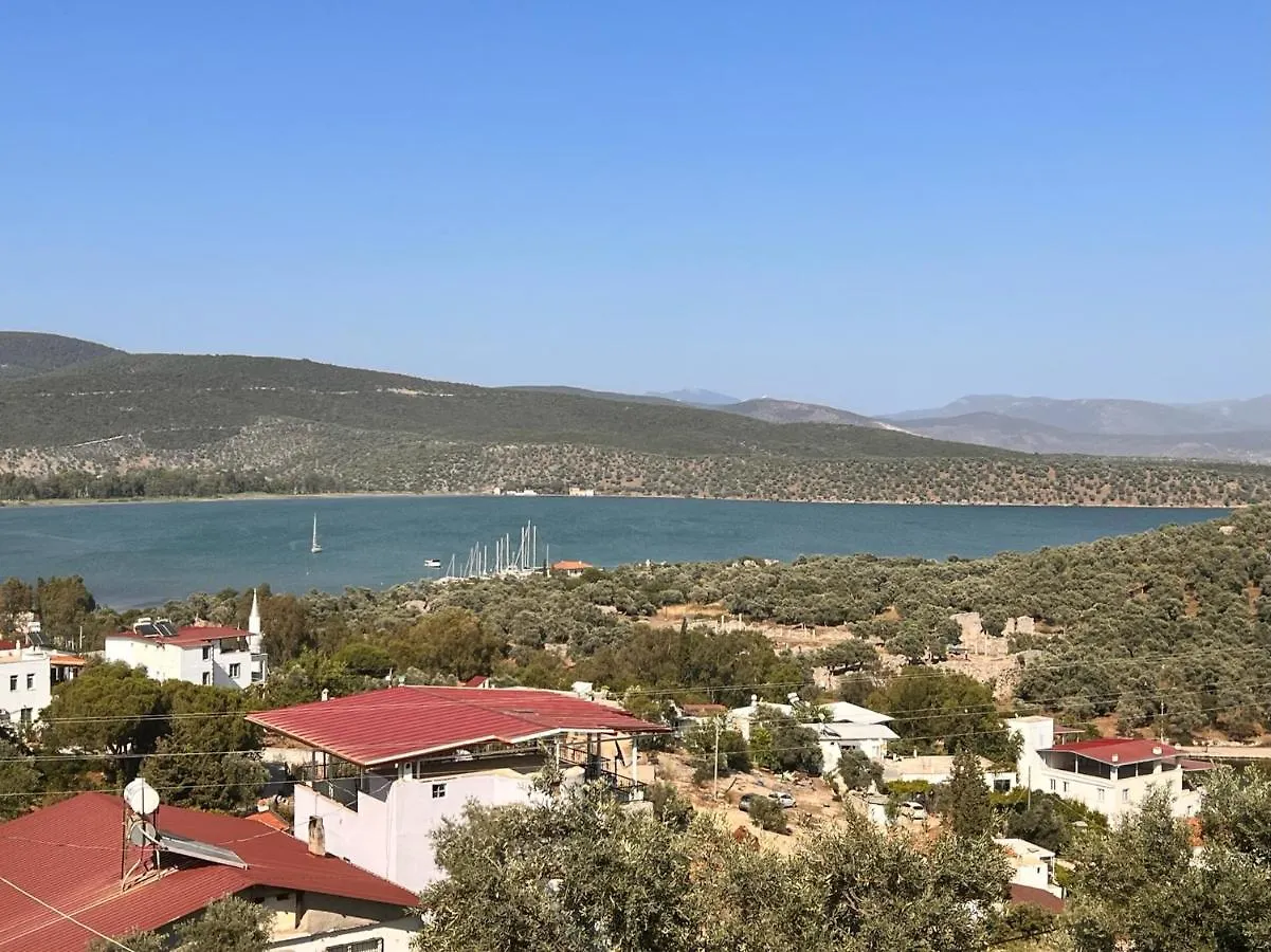 Nek House Zeytin 호텔 Milas